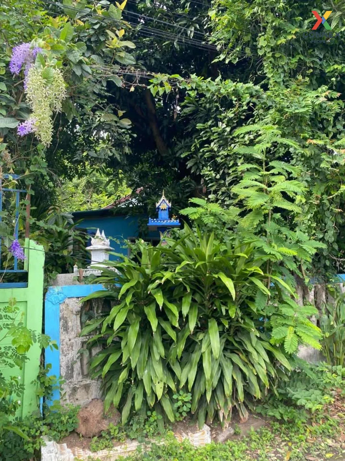 ขายบ้านเดี่ยวพร้อมที่ดิน 100ตรว. นครราชสีมา หนองจะบก เมืองนครราชส