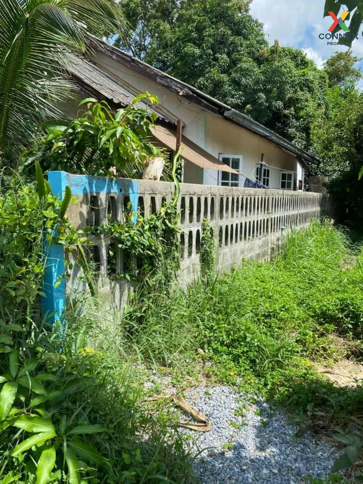 ขายบ้านเดี่ยวพร้อมที่ดิน 100ตรว. นครราชสีมา หนองจะบก เมืองนครราชส