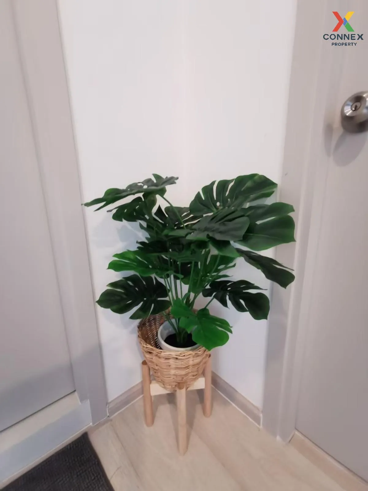 เช่าคอนโด  ไลฟ์ สุขุมวิท 48 BTS-พระโขนง พระโขนง เขต คลองเตย กรุงเ