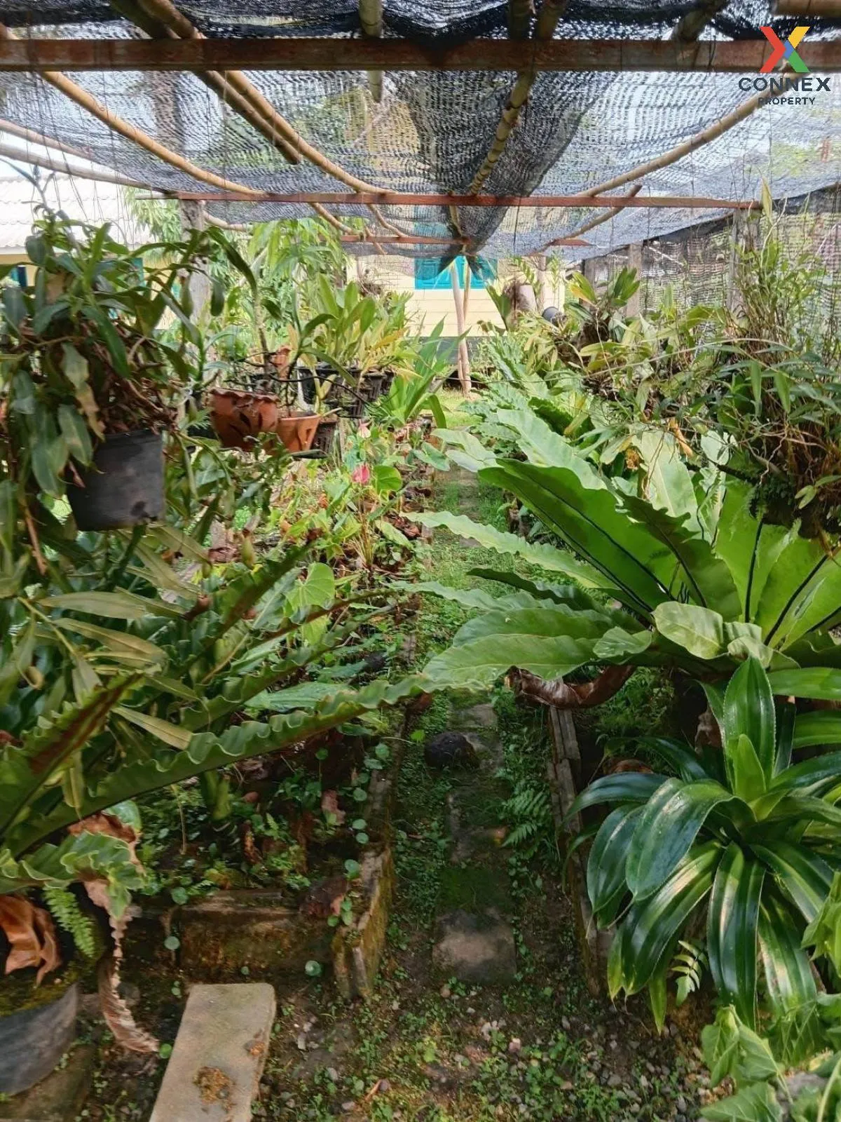 For Sale Garden house with land , Si Kham , Mae Chan , Chiang Rai