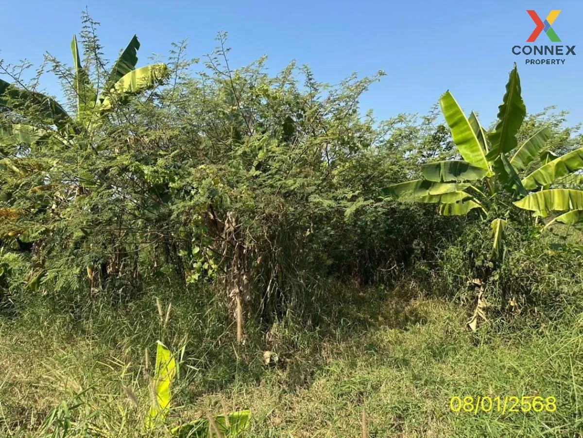 For Sale land area 4-2-47 square wah Tha It Pak Kret Nonthaburi , For Sale land area 4-2-47 square wah Tha It Pak Kret Nonthaburi , 3