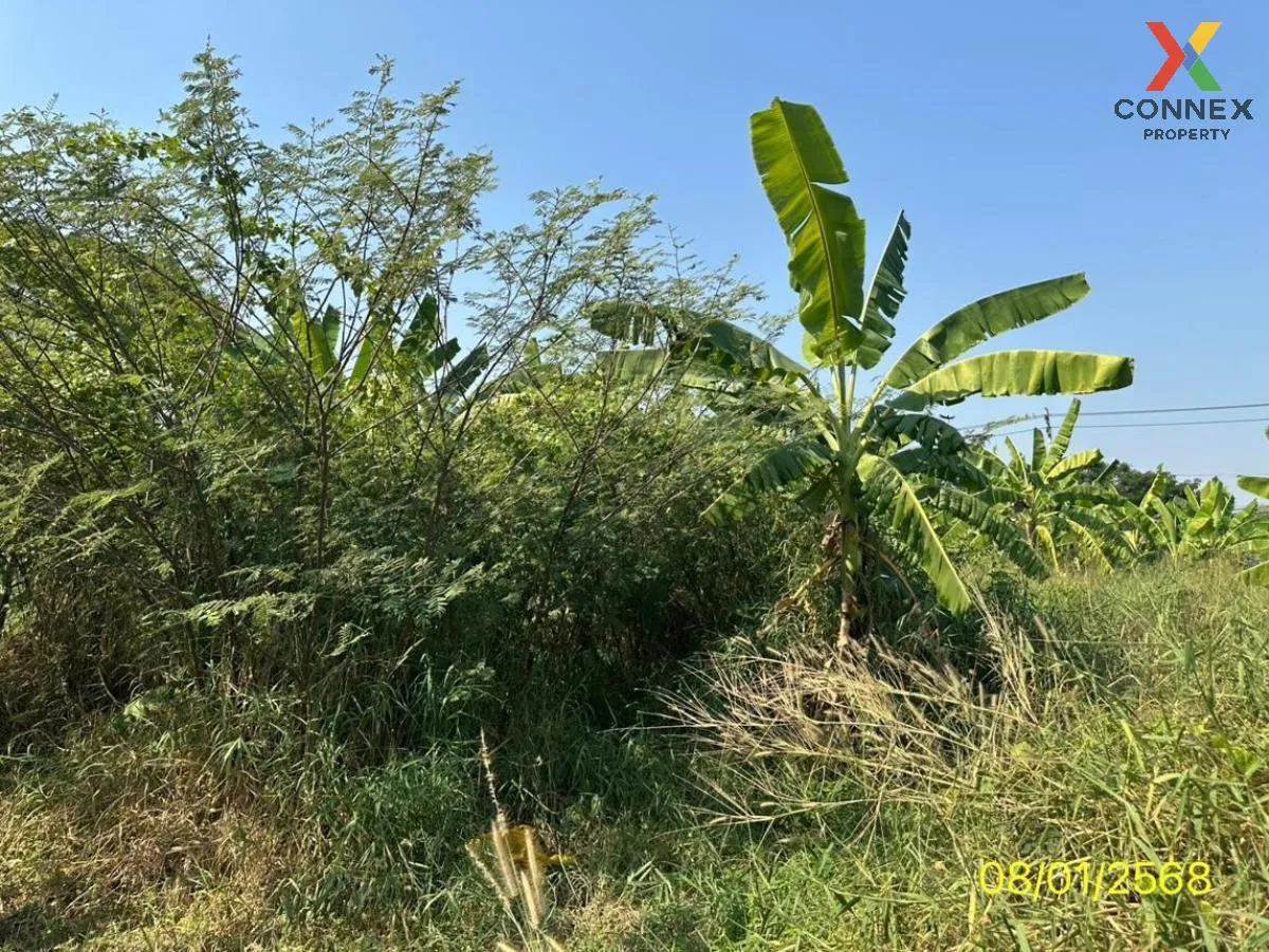 For Sale land area 4-2-47 square wah Tha It Pak Kret Nonthaburi , For Sale land area 4-2-47 square wah Tha It Pak Kret Nonthaburi , 4