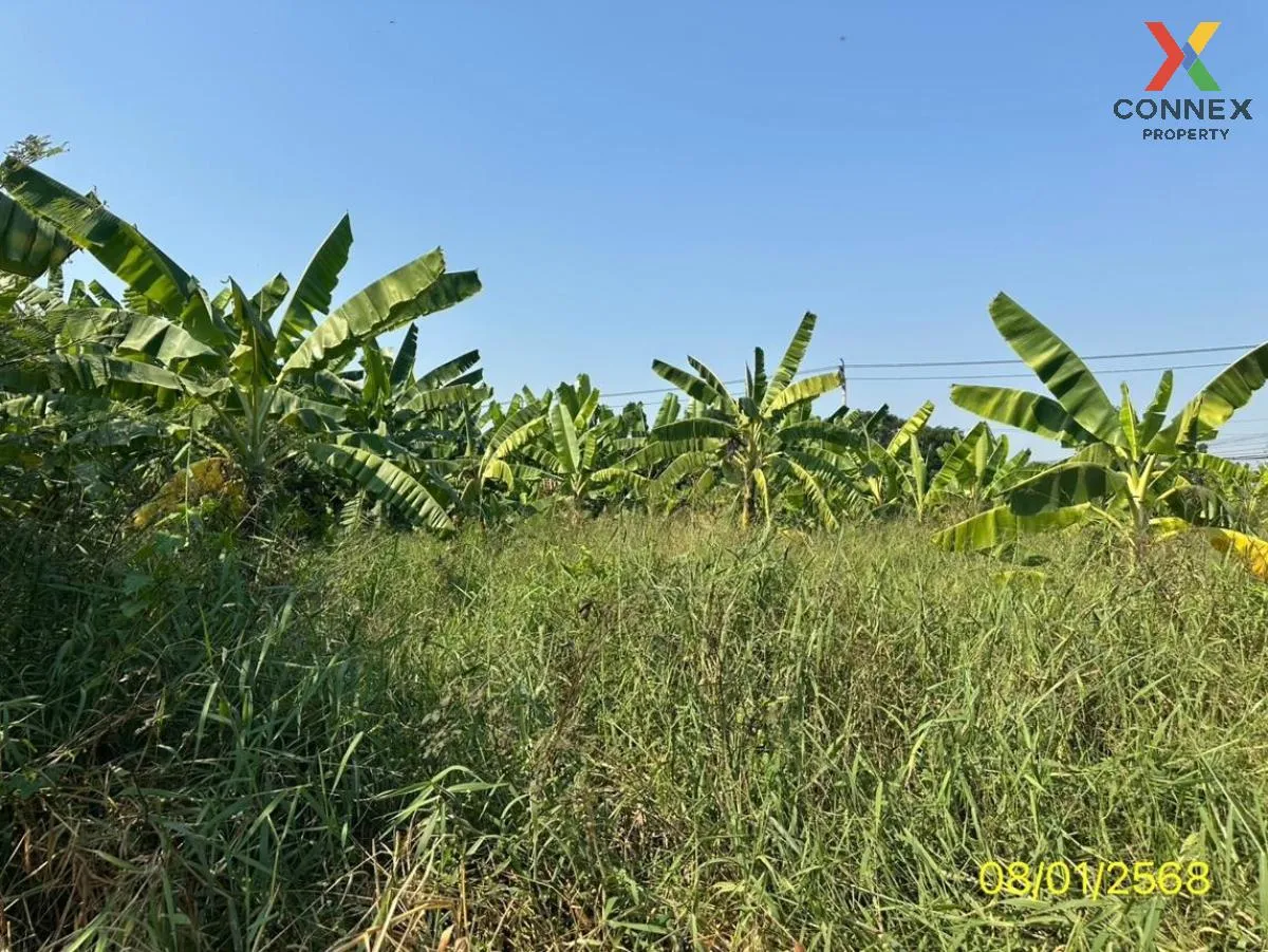 For Sale land area 4-2-47 square wah Tha It Pak Kret Nonthaburi , For Sale land area 4-2-47 square wah Tha It Pak Kret Nonthaburi ,