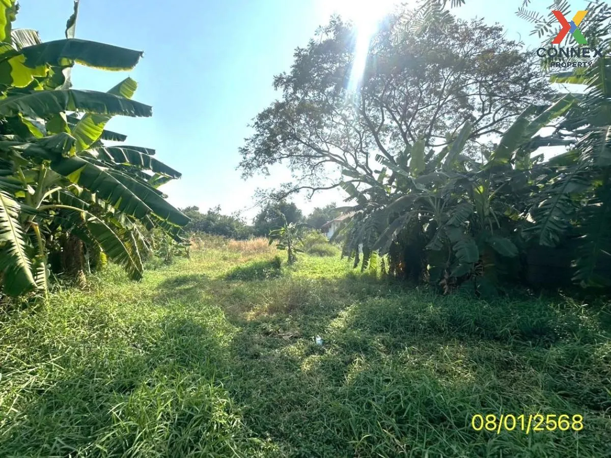 For Sale land area 4-2-47 square wah Tha It Pak Kret Nonthaburi , For Sale land area 4-2-47 square wah Tha It Pak Kret Nonthaburi ,