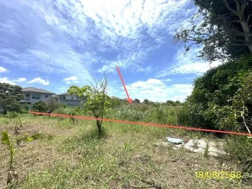 ขายที่ดินเปล่า พื้นที่ 2-3-34.9 ตารางวา ไทรม้า นนทบุรี ไทรม้า เมืองนนทบุรี นนทบุรี CX-131810