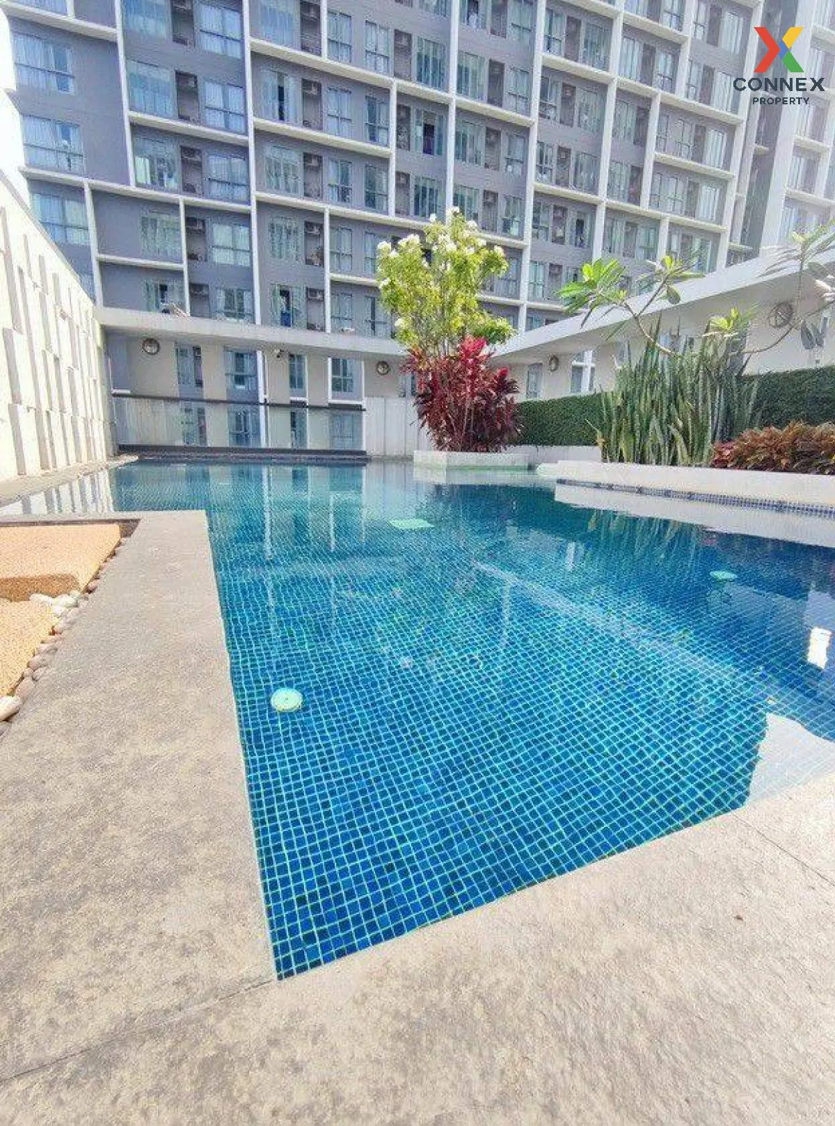 For Rent Condo , The President Sukhumvit , BTS-On Nut , Phra Khan
