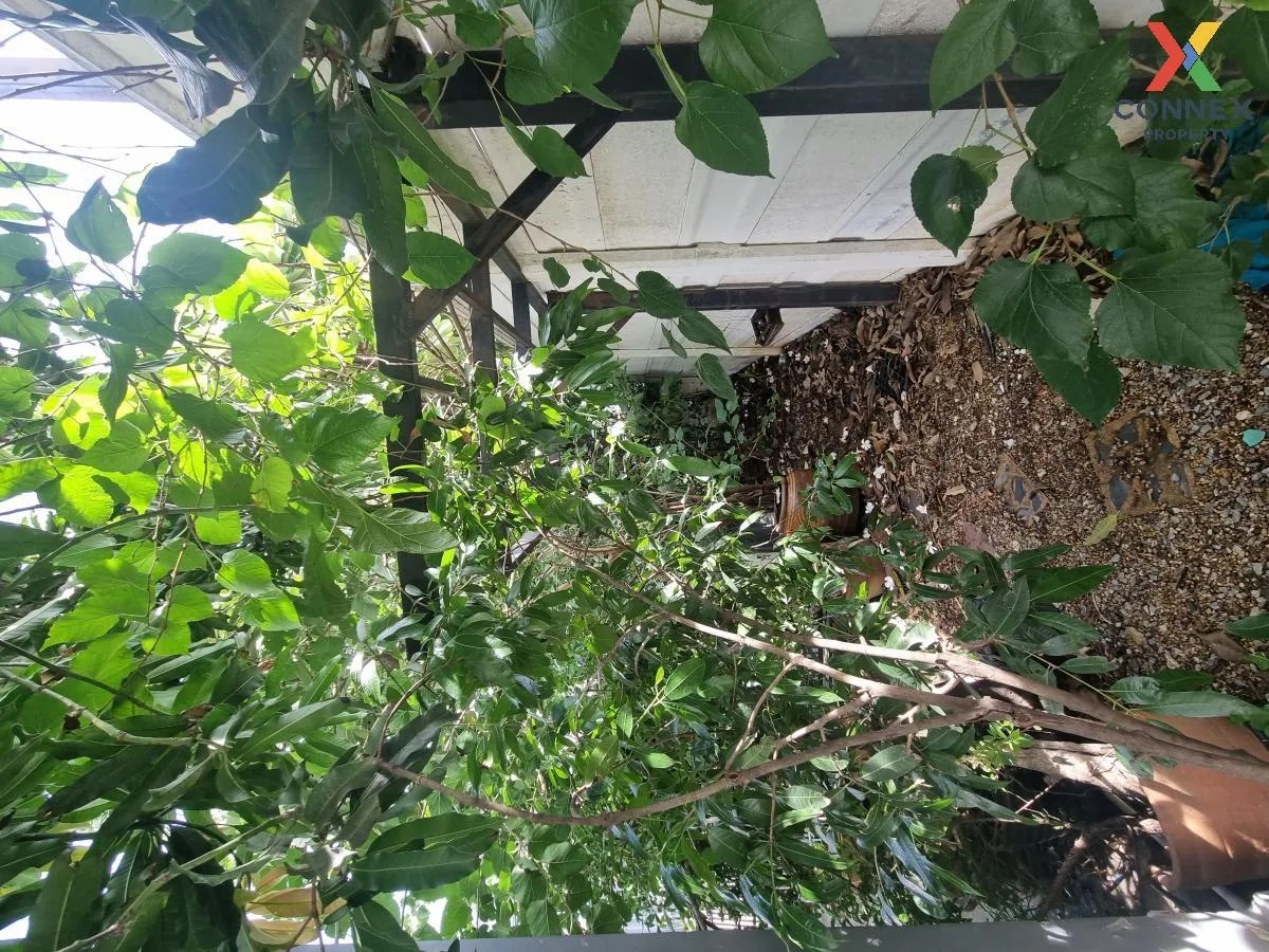 For Sale Townhouse/Townhome  , STORIES ONNUCH - WONGWAEN , Dok Ma