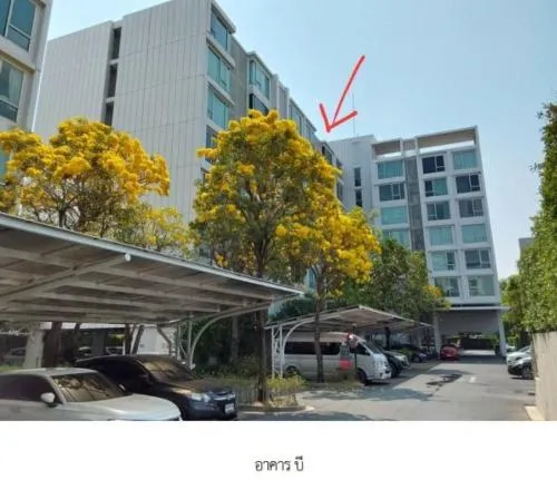 For Sale Condo , U Kaset – Nawamin , Anusawari , Bang Khen , Bangkok , CX-132573 For Sale Condo , U Kaset – Nawamin , Anusawari , Bang Khen , Bangkok , CX-132573