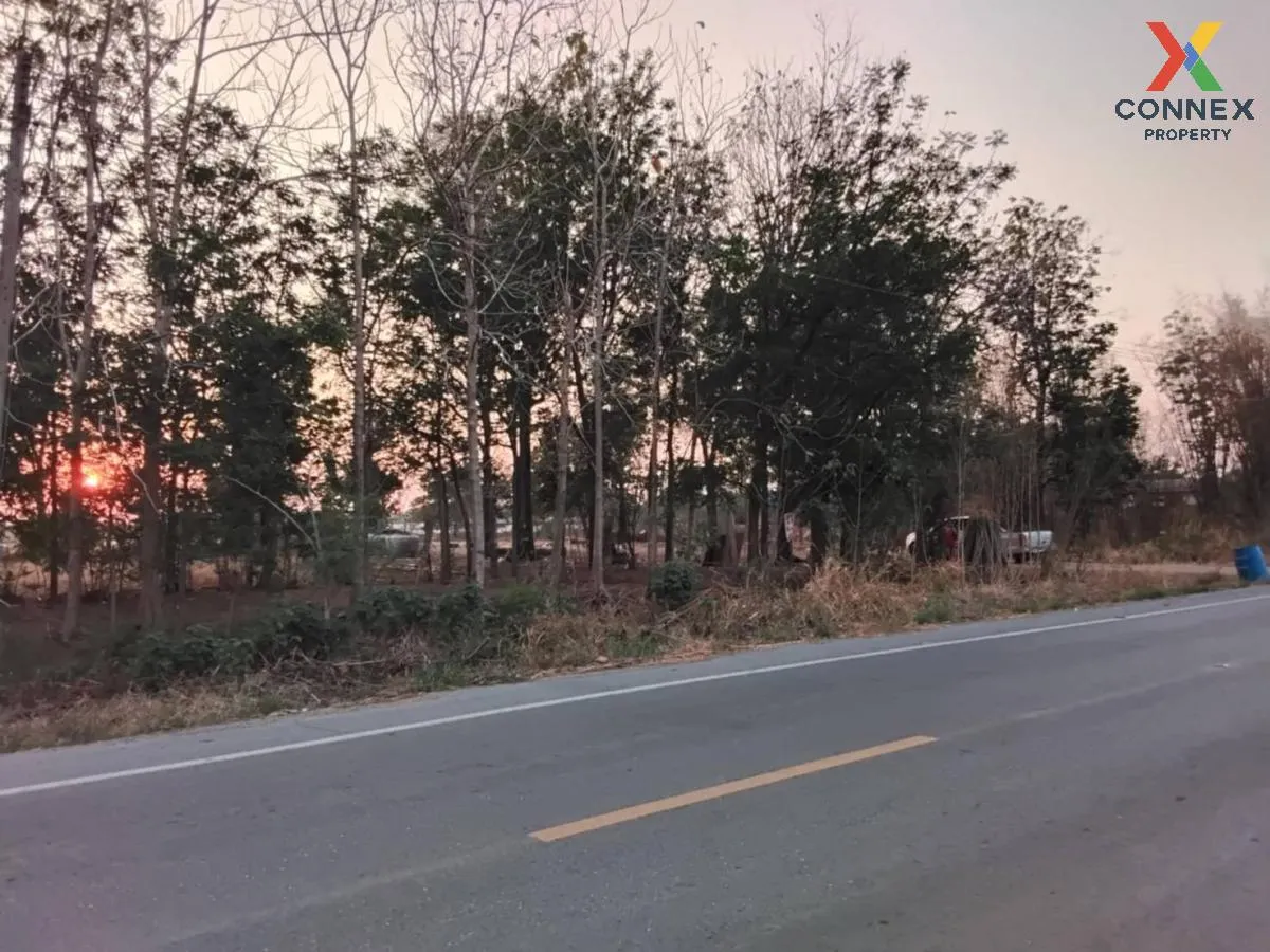 For Sale Vacant Land Phatthana Nikhom  Lopburi  CX-132784 For Sale Vacant Land Phatthana Nikhom  Lopburi  CX-132784 1