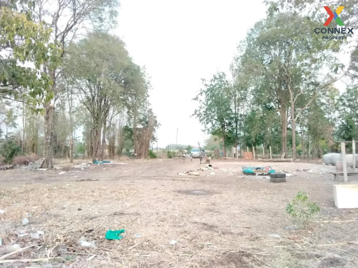 For Sale Vacant Land Phatthana Nikhom  Lopburi  CX-132784 For Sale Vacant Land Phatthana Nikhom  Lopburi  CX-132784 3