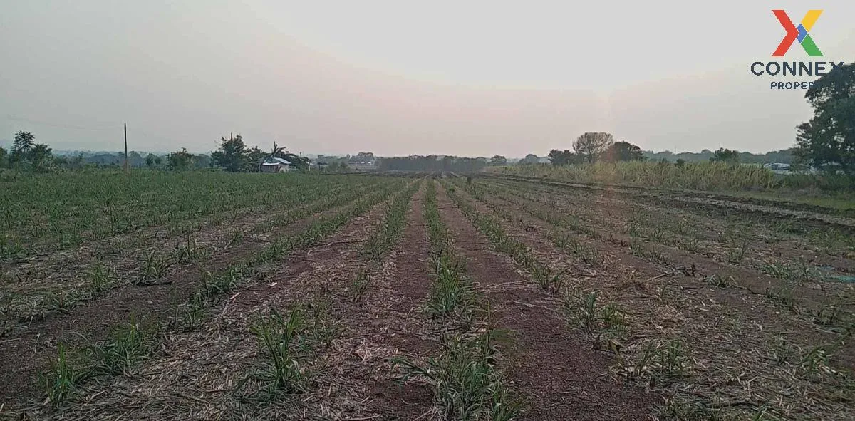 For Sale Vacant Land Phatthana Nikhom  Lopburi  CX-132784 For Sale Vacant Land Phatthana Nikhom  Lopburi  CX-132784 4
