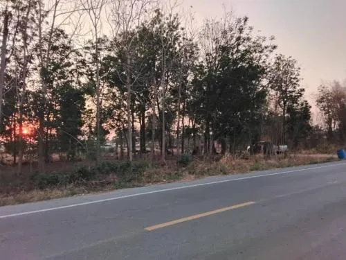 For Sale Vacant Land Phatthana Nikhom  Lopburi  CX-132784