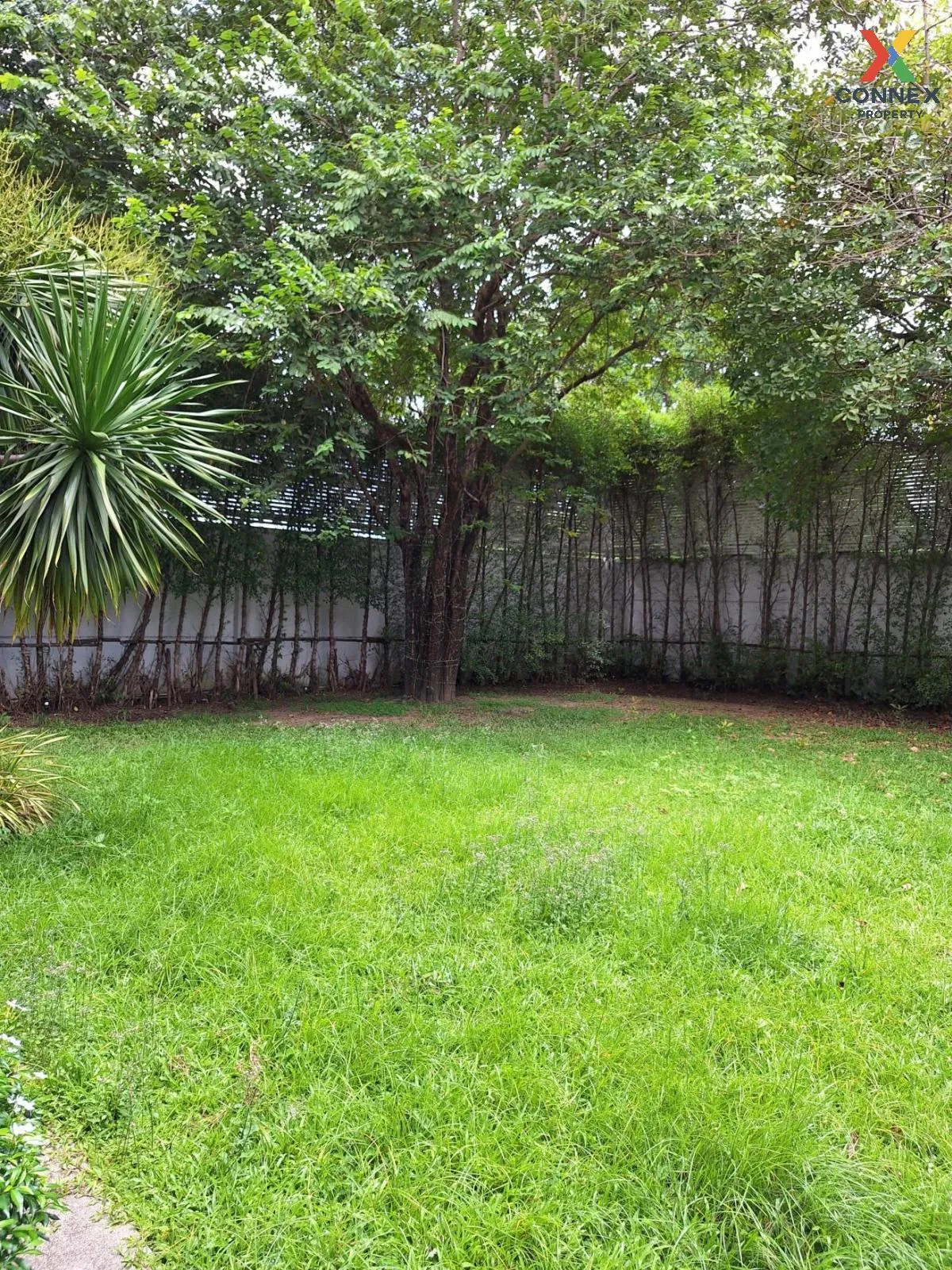 ขายบ้าน  บ้านลดาวัลย์ ราชพฤกษ์ - ปิ่นเกล้า บางระมาด เขต ตลิ่งชัน 