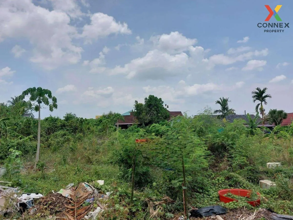 ขายที่ดินเปล่า ติดถนนเอเชีย ตรงข้ามแม็คโคร สุราษฎร์ธานี มะขามเตี้ ขายที่ดินเปล่า ติดถนนเอเชีย ตรงข้ามแม็คโคร สุราษฎร์ธานี มะขามเตี้ 2