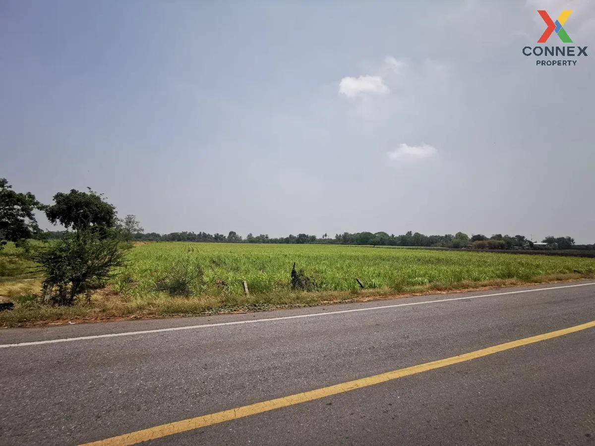 ขายที่ดินแปลงใหญ่ อ.โคกสำโรง จ.ลพบุรี CX-133034 ขายที่ดินแปลงใหญ่ อ.โคกสำโรง จ.ลพบุรี CX-133034 2