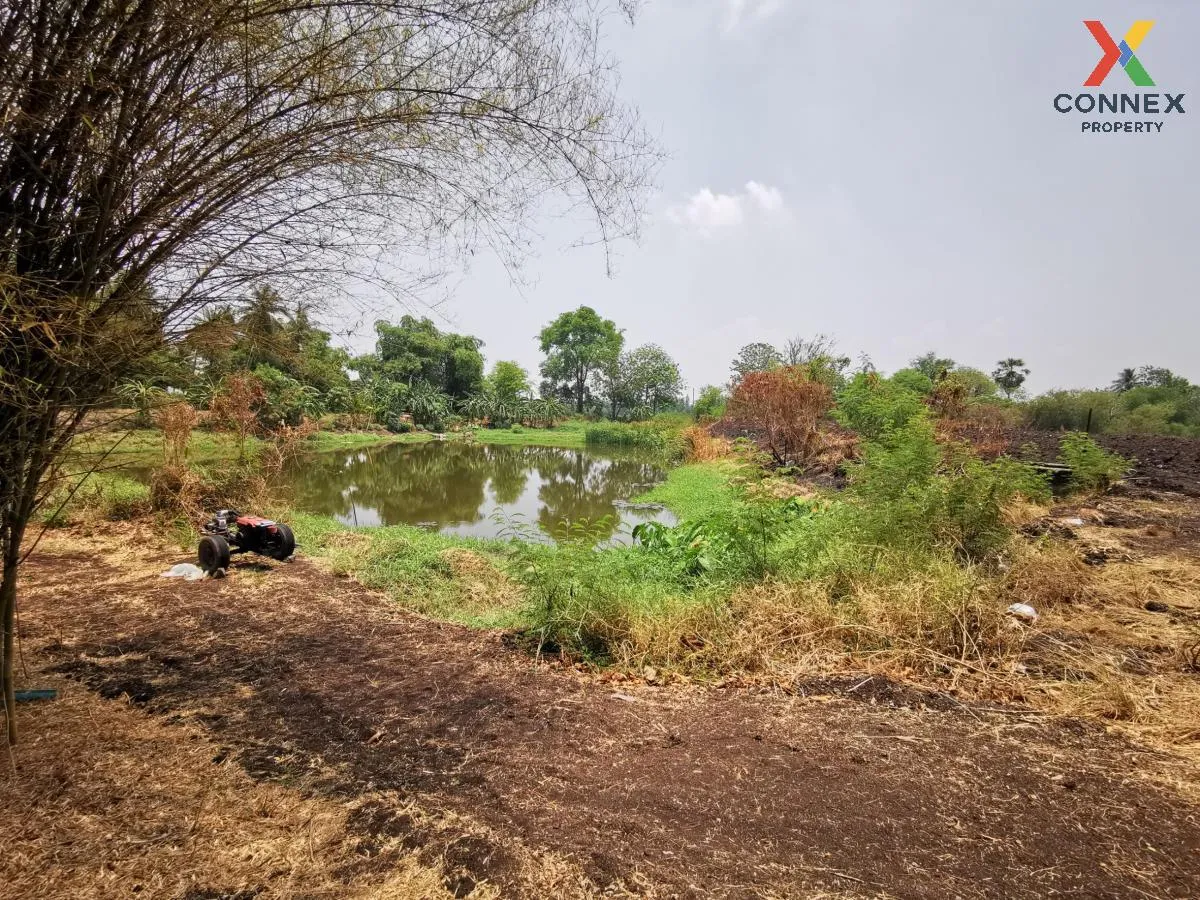 ขายที่ดินแปลงใหญ่ อ.โคกสำโรง จ.ลพบุรี CX-133034 ขายที่ดินแปลงใหญ่ อ.โคกสำโรง จ.ลพบุรี CX-133034