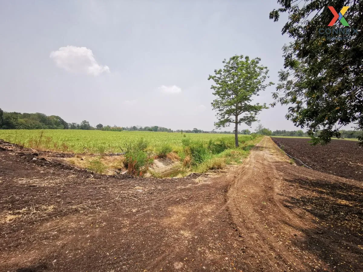 ขายที่ดินแปลงใหญ่ อ.โคกสำโรง จ.ลพบุรี CX-133034 ขายที่ดินแปลงใหญ่ อ.โคกสำโรง จ.ลพบุรี CX-133034