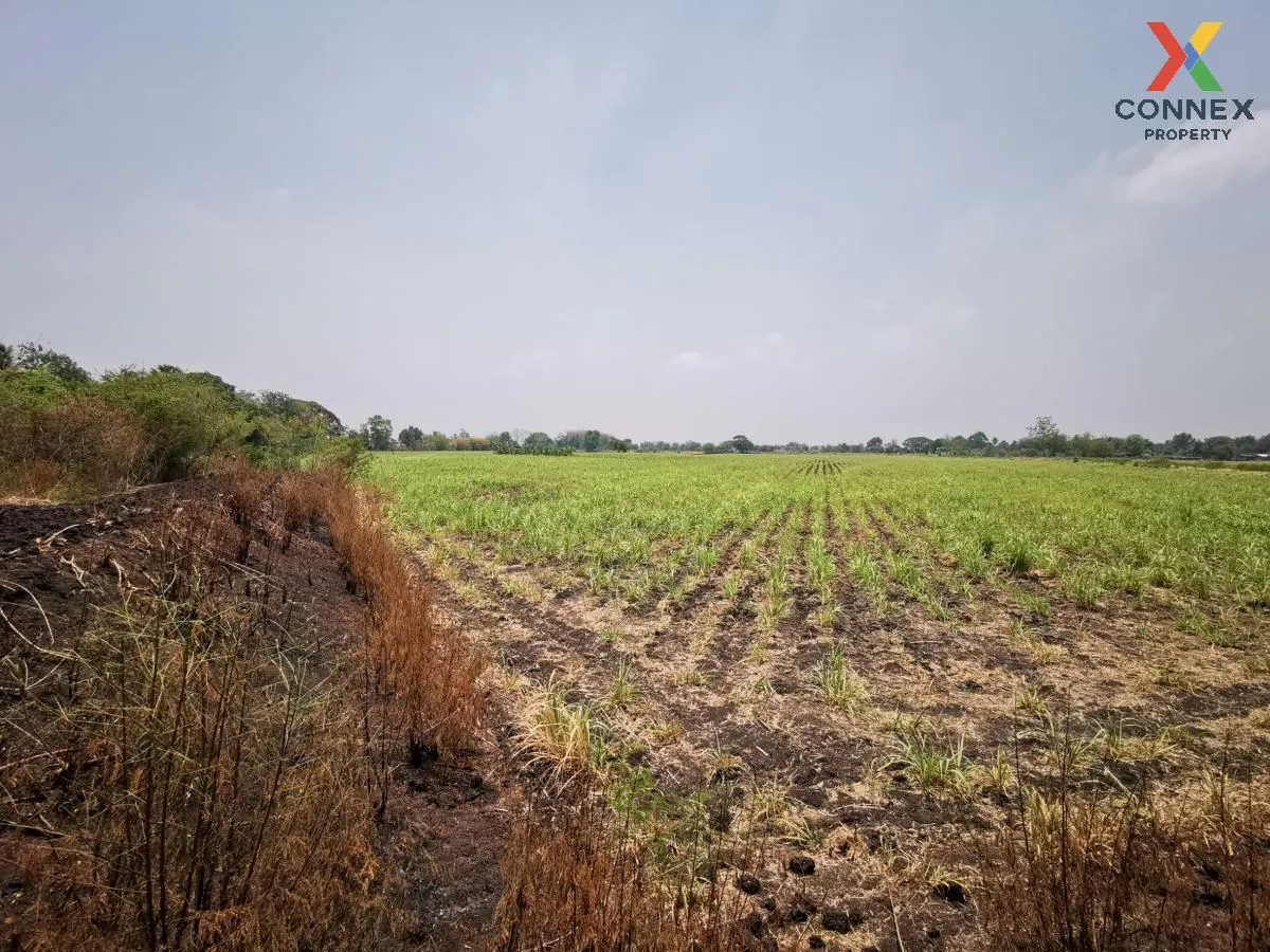 ขายที่ดินแปลงใหญ่ อ.โคกสำโรง จ.ลพบุรี CX-133034 ขายที่ดินแปลงใหญ่ อ.โคกสำโรง จ.ลพบุรี CX-133034