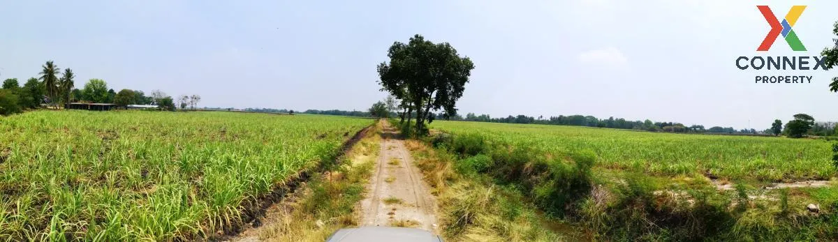 ขายที่ดินแปลงใหญ่ อ.โคกสำโรง จ.ลพบุรี CX-133034 ขายที่ดินแปลงใหญ่ อ.โคกสำโรง จ.ลพบุรี CX-133034