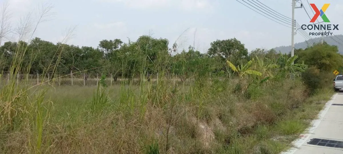 ขายที่ดินทำเลทอง ใกล้ตลาดหนองมน อ.เมืองชลบุรี  จ.ชลบุรี CX-133167 2