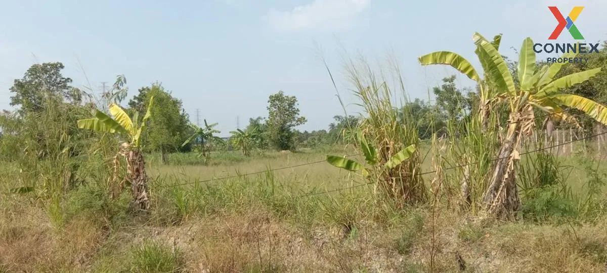 ขายที่ดินทำเลทอง ใกล้ตลาดหนองมน อ.เมืองชลบุรี  จ.ชลบุรี CX-133167 3