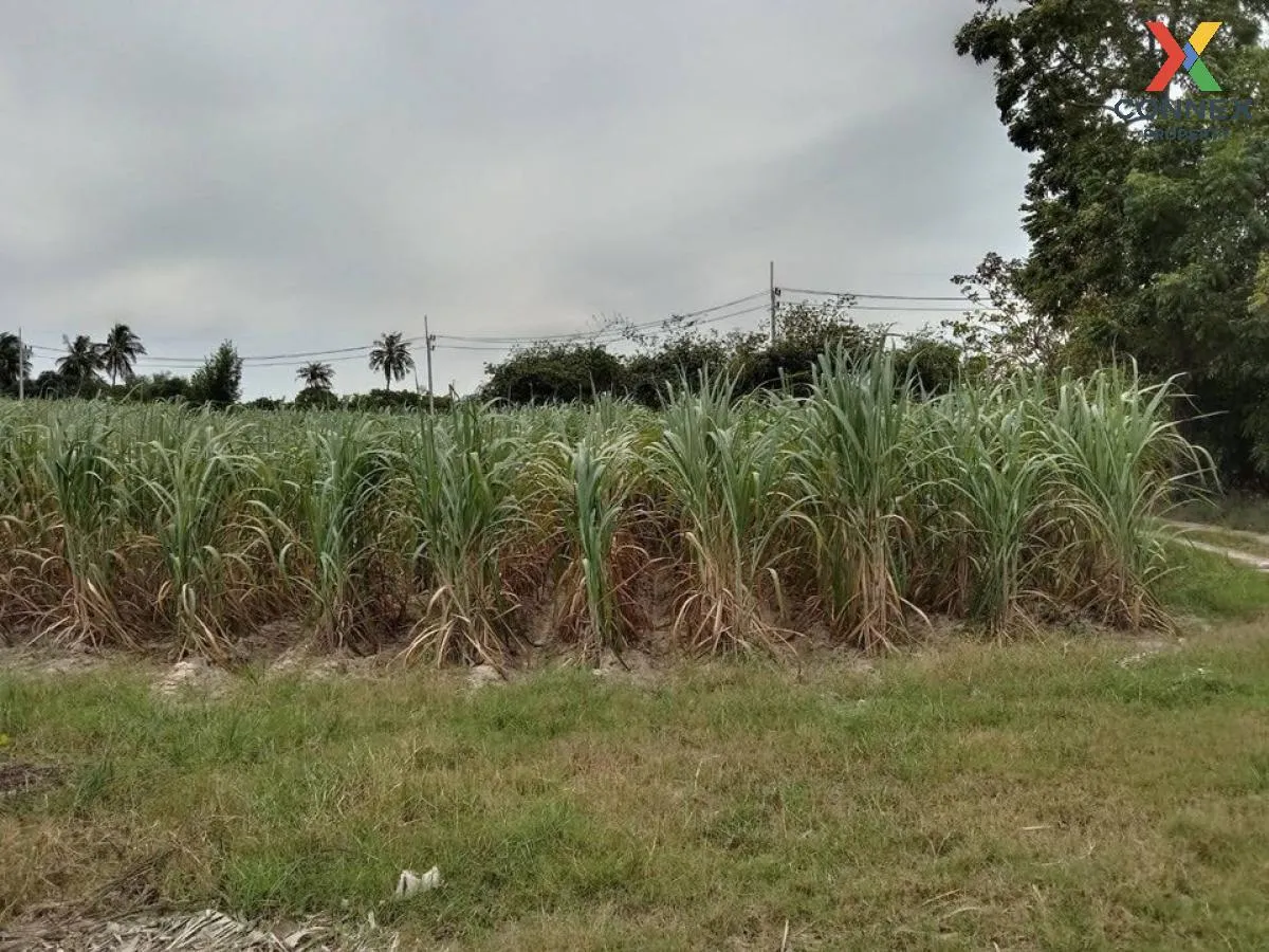 ขายที่ดินทำเลทอง ใกล้ตลาดหนองมน อ.เมืองชลบุรี  จ.ชลบุรี CX-133167