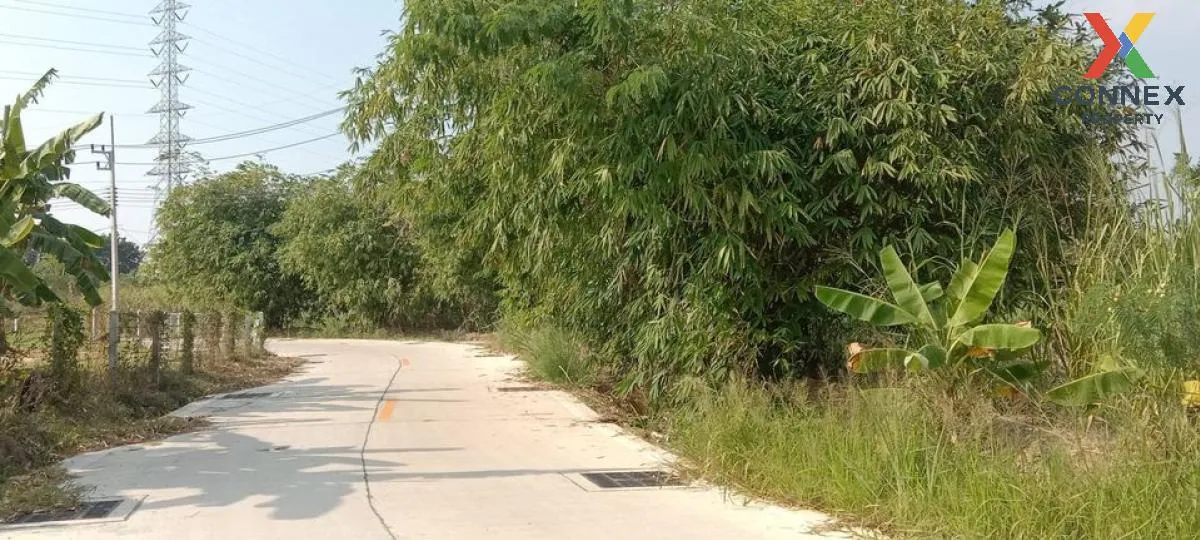 ขายที่ดินทำเลทอง ใกล้ตลาดหนองมน อ.เมืองชลบุรี  จ.ชลบุรี CX-133167