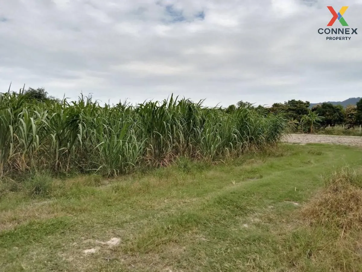 ขายที่ดินทำเลทอง ใกล้ตลาดหนองมน อ.เมืองชลบุรี  จ.ชลบุรี CX-133167