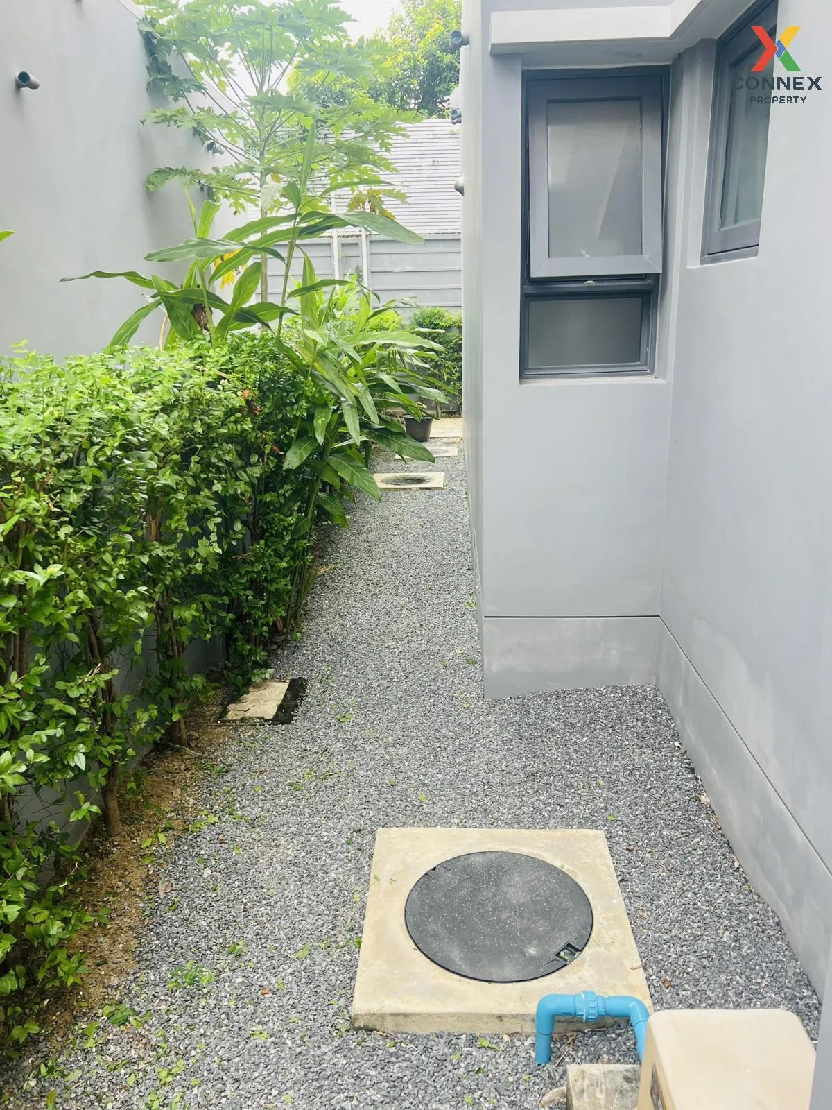 เช่าบ้าน  เซนโทร วิภาวดี ดอนเมือง เขต ดอนเมือง กรุงเทพ CX-133428