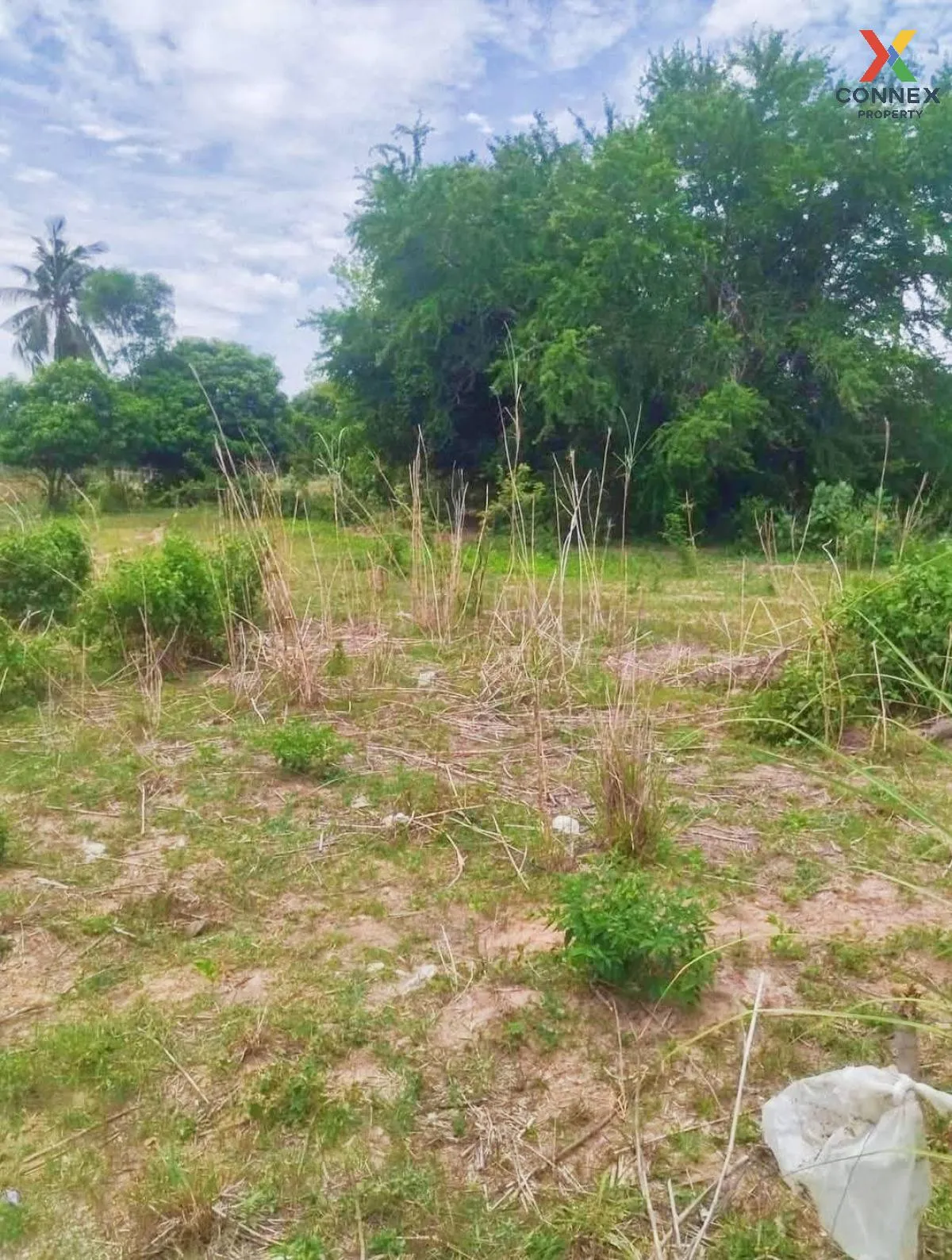 Land Plot for Sale near Wat Yan Sangwararam, Sattahip, Chonburi C Land Plot for Sale near Wat Yan Sangwararam, Sattahip, Chonburi C 4