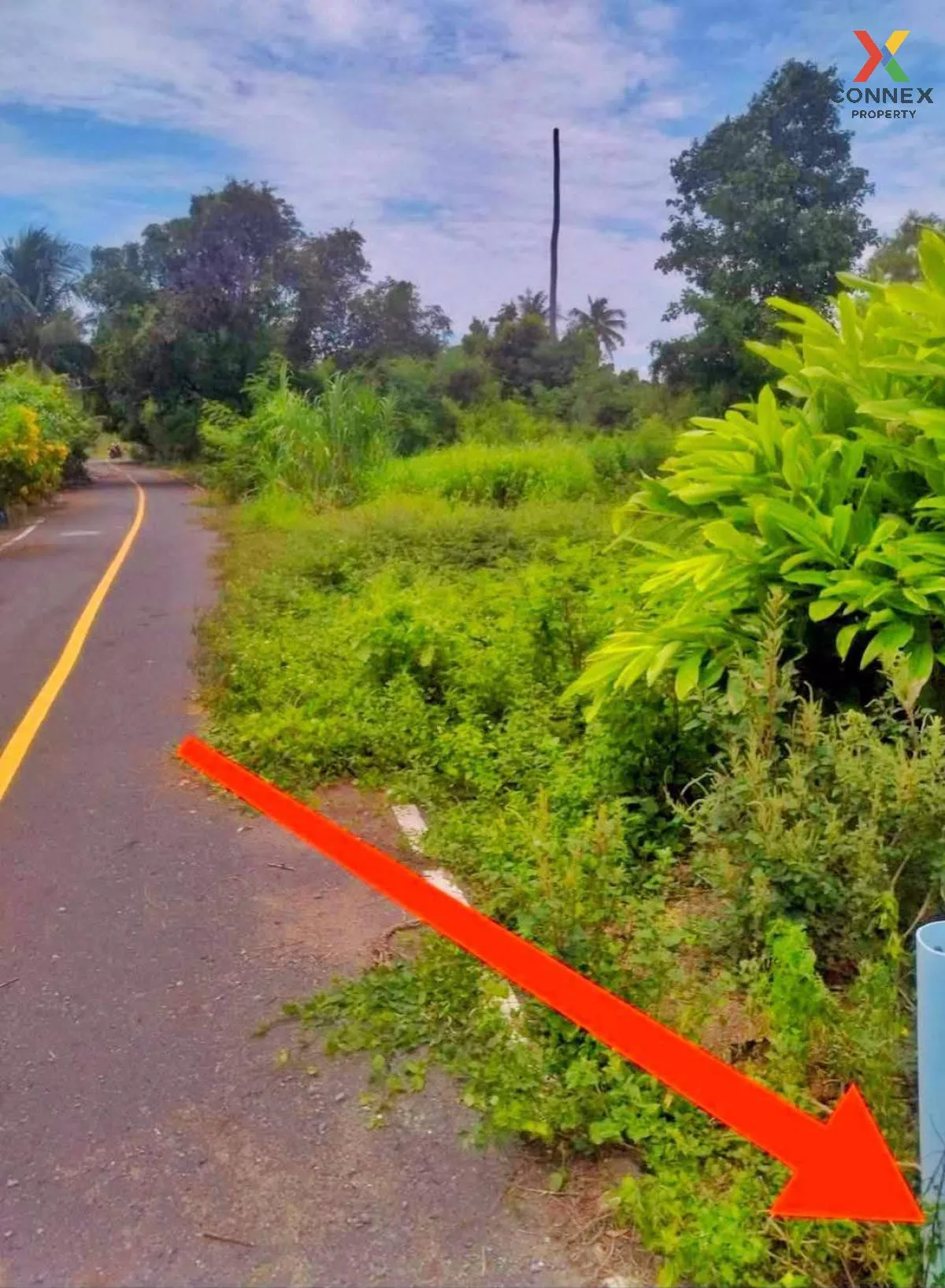 Land Plot for Sale near Wat Yan Sangwararam, Sattahip, Chonburi C Land Plot for Sale near Wat Yan Sangwararam, Sattahip, Chonburi C