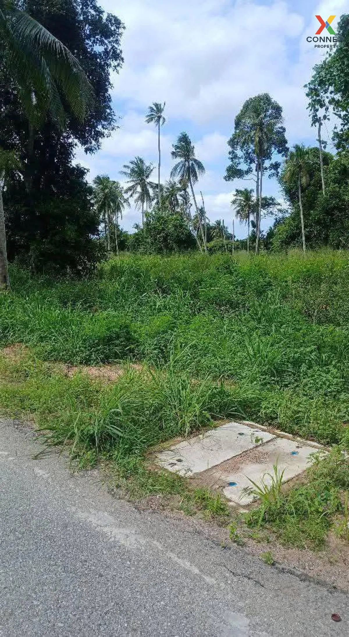 For Sale Triple-Frontage Land Plot, Near Wat Mab Fakthong , Bang  For Sale Triple-Frontage Land Plot, Near Wat Mab Fakthong , Bang  3