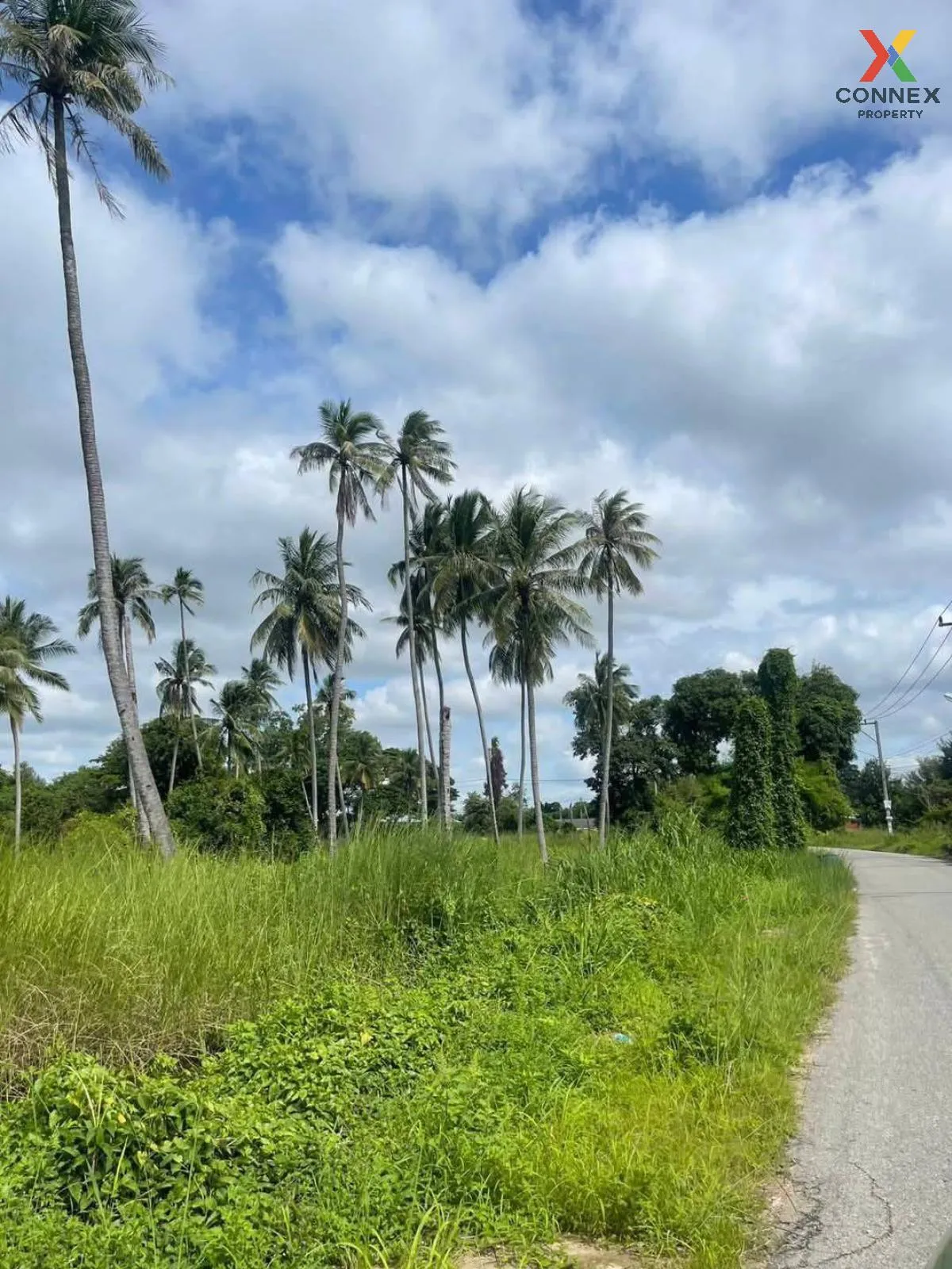 For Sale Triple-Frontage Land Plot, Near Wat Mab Fakthong , Bang  For Sale Triple-Frontage Land Plot, Near Wat Mab Fakthong , Bang  4