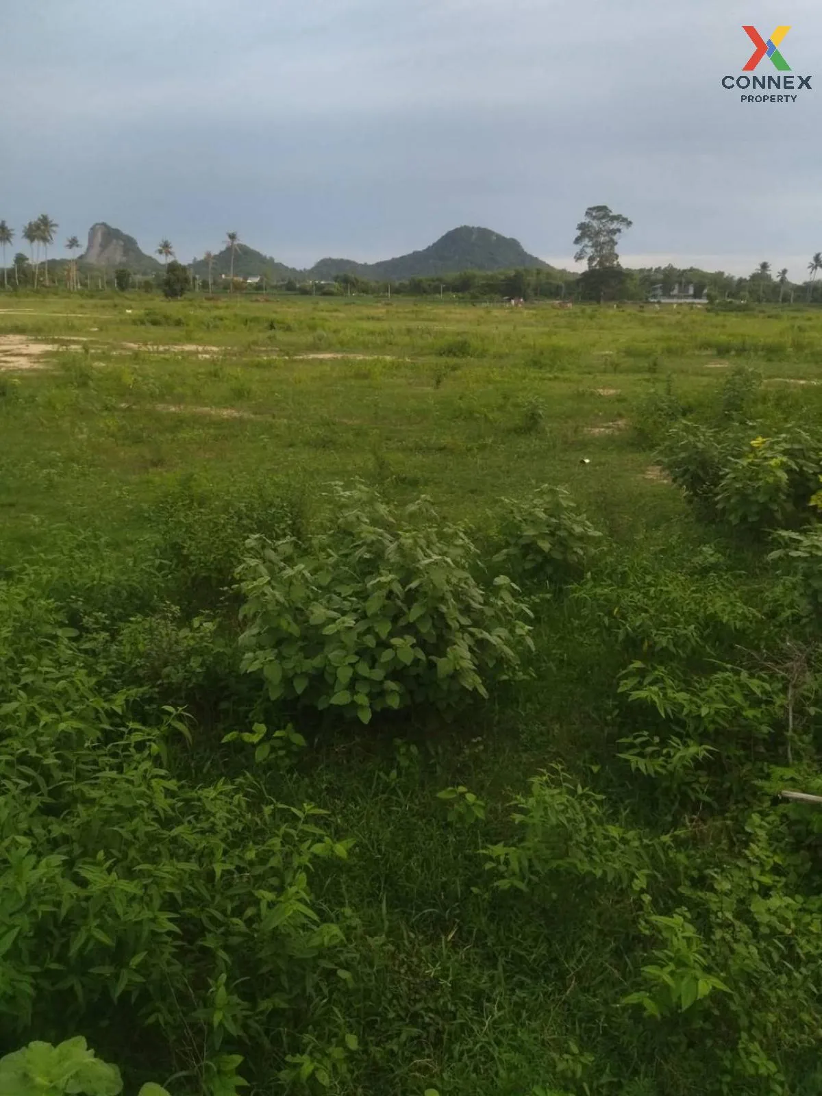 For Sale: Vacant Land, 54 Rai, Adjacent to Viharn Sien, Sattahip  For Sale: Vacant Land, 54 Rai, Adjacent to Viharn Sien, Sattahip  3