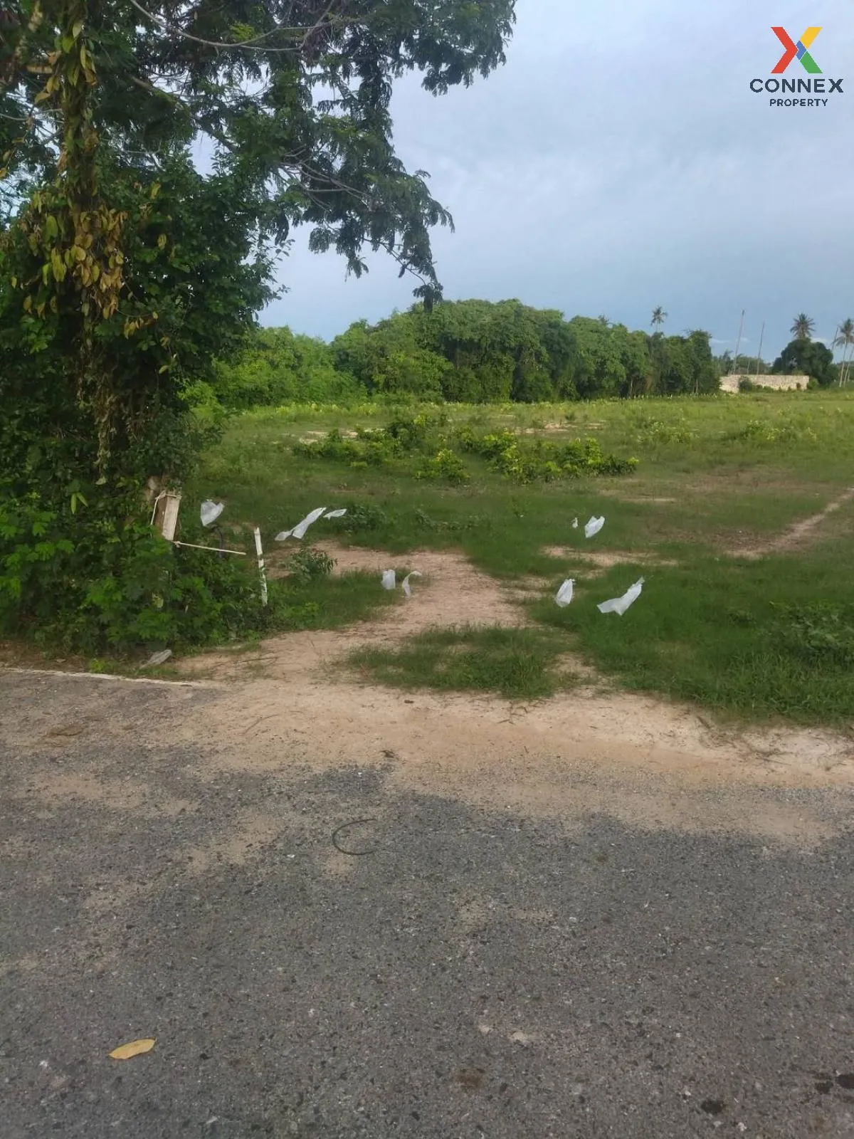 For Sale: Vacant Land, 54 Rai, Adjacent to Viharn Sien, Sattahip  For Sale: Vacant Land, 54 Rai, Adjacent to Viharn Sien, Sattahip  4