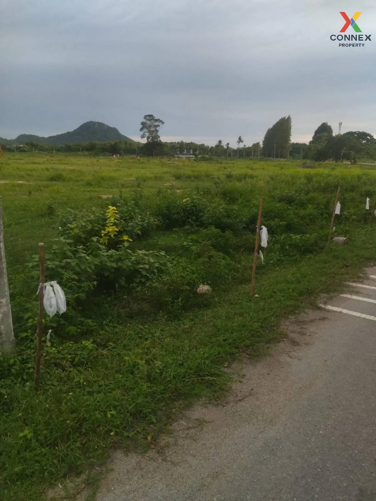 For Sale: Vacant Land, 54 Rai, Adjacent to Viharn Sien, Sattahip  For Sale: Vacant Land, 54 Rai, Adjacent to Viharn Sien, Sattahip