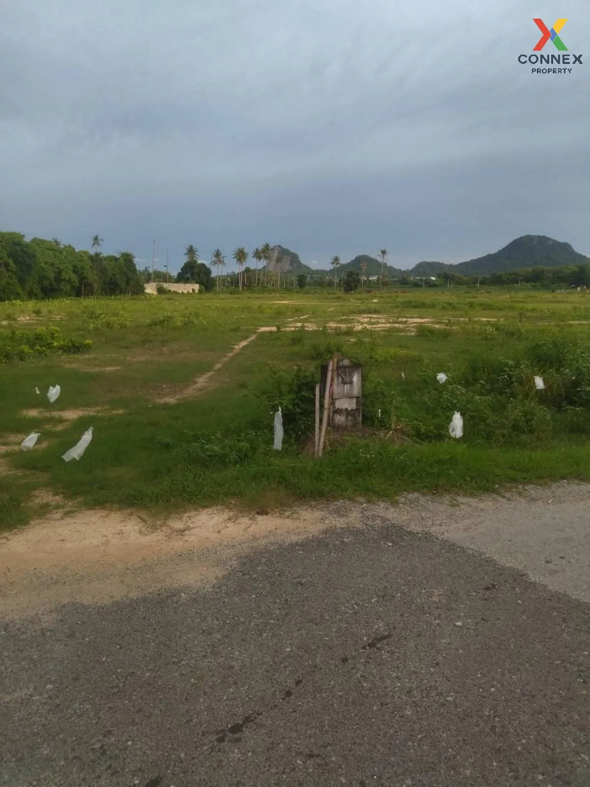 For Sale: Vacant Land, 54 Rai, Adjacent to Viharn Sien, Sattahip  For Sale: Vacant Land, 54 Rai, Adjacent to Viharn Sien, Sattahip