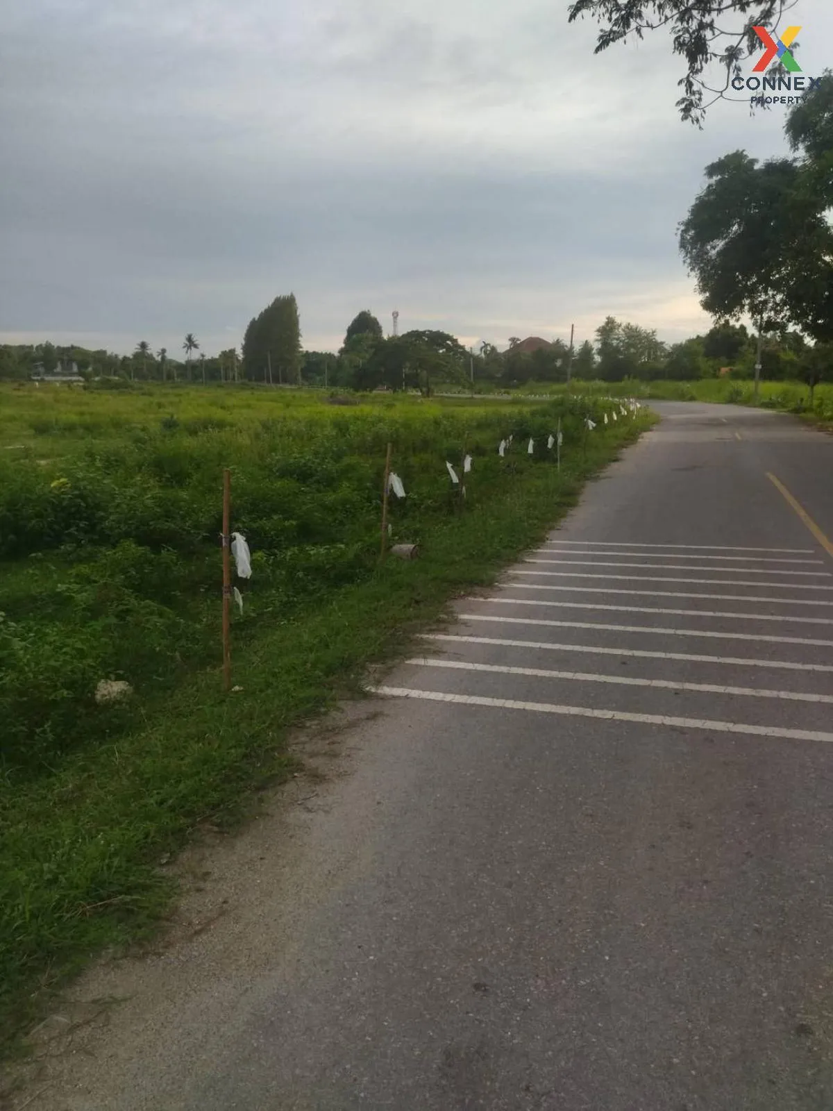 For Sale: Vacant Land, 54 Rai, Adjacent to Viharn Sien, Sattahip  For Sale: Vacant Land, 54 Rai, Adjacent to Viharn Sien, Sattahip