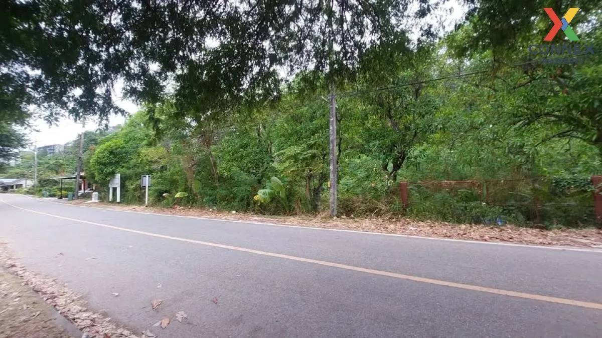 ขาย ที่ดินอ่าวปอ ภูเก็ต 8 ไร่ พื้นที่สีเหลือง ป่าคลอก ถลาง ภูเก็ต 2
