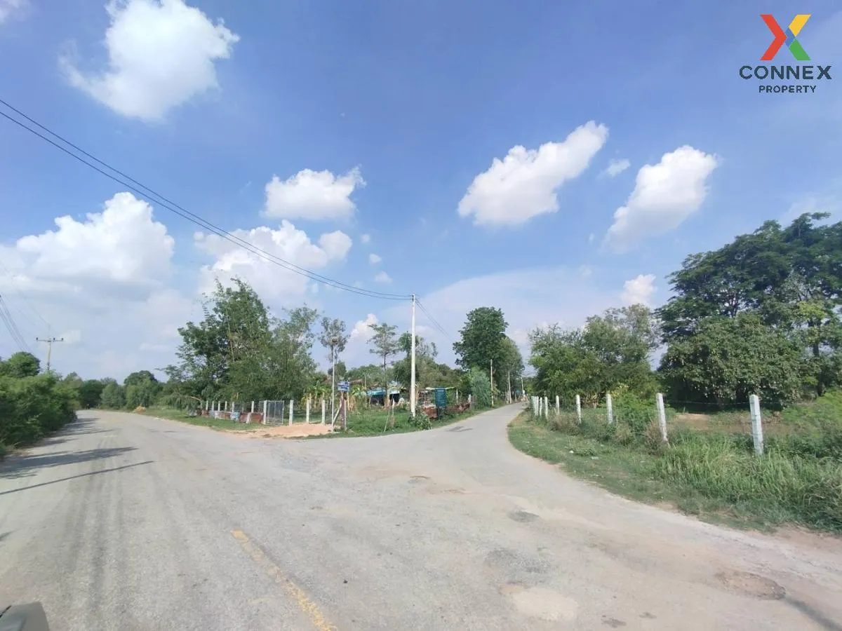 ขายที่ดินเมืองพล หมู่บ้านชัยพัฒนา ใกล้ทางออกถนนใหญ่มิตรภาพ เก่างิ ขายที่ดินเมืองพล หมู่บ้านชัยพัฒนา ใกล้ทางออกถนนใหญ่มิตรภาพ เก่างิ 1