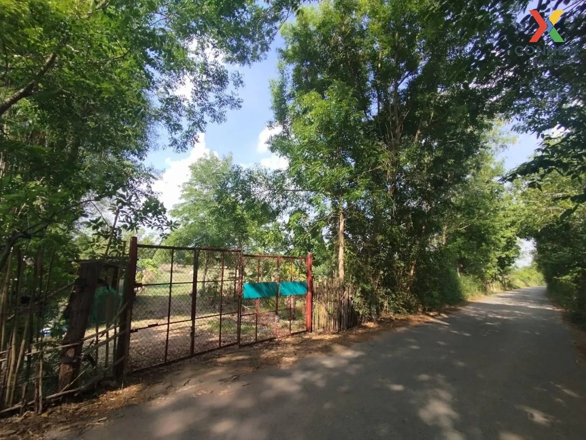 ขายที่ดินเมืองพล หมู่บ้านชัยพัฒนา ใกล้ทางออกถนนใหญ่มิตรภาพ เก่างิ ขายที่ดินเมืองพล หมู่บ้านชัยพัฒนา ใกล้ทางออกถนนใหญ่มิตรภาพ เก่างิ 2