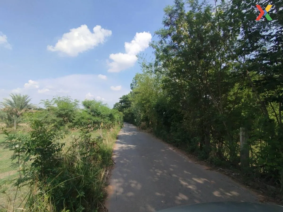 ขายที่ดินเมืองพล หมู่บ้านชัยพัฒนา ใกล้ทางออกถนนใหญ่มิตรภาพ เก่างิ ขายที่ดินเมืองพล หมู่บ้านชัยพัฒนา ใกล้ทางออกถนนใหญ่มิตรภาพ เก่างิ 4