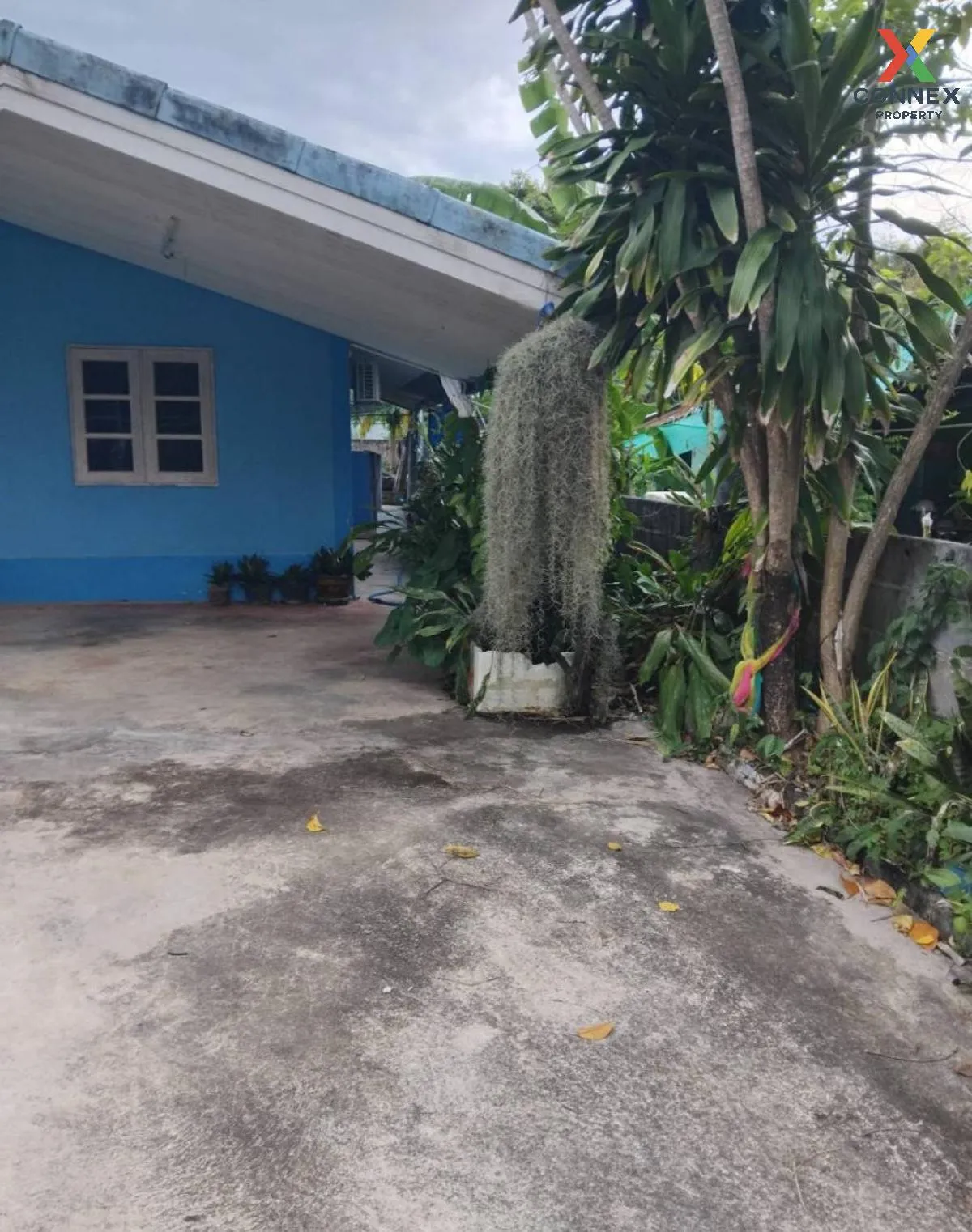 ขายบ้าน 1 ชั้น พื้นที่ 1-42.3 ตารางวา ซอย เขาสำเฦาทอง เพ ระยอง เพ ขายบ้าน 1 ชั้น พื้นที่ 1-42.3 ตารางวา ซอย เขาสำเฦาทอง เพ ระยอง เพ 3