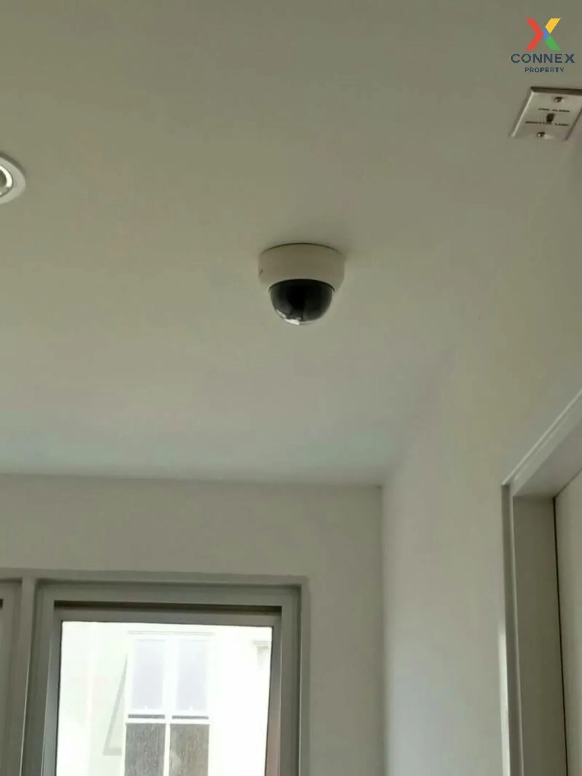 For Rent Condo , Plum Condo Park Rangsit  phase 1-3 , Khlong Nuen For Rent Condo , Plum Condo Park Rangsit  phase 1-3 , Khlong Nuen