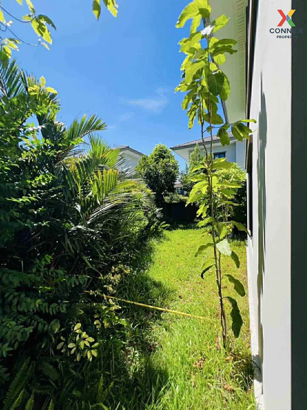 For Sale House , Passorn Chaengwattana-Chaiyapruek , wide frontag 3