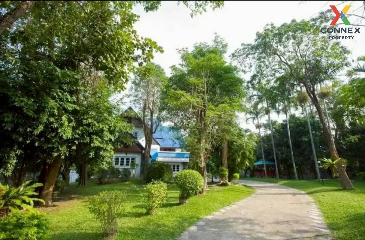 ขายบ้าน 3 ชั้น พื้นที่ 1-3-85  ตรว. โพธิ์กลาง นครราชสีมา โพธิ์กลา 3