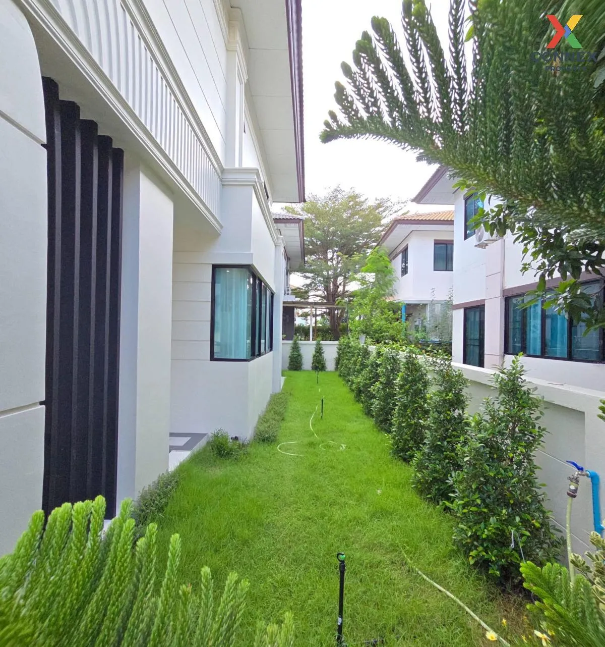 ขายบ้าน  บ้านฟ้าปิยรมย์ เนสโต้ รีโนเวทใหม่ บึงคำพร้อย ลำลูกกา ปทุ