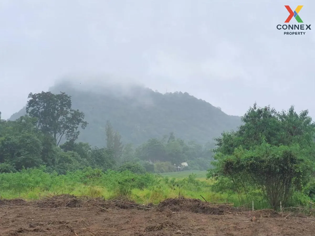 ขายที่ดินหมูสี @เขาใหญ่ วิวสวย หมูสี ปากช่อง นครราชสีมา CX-135669 3