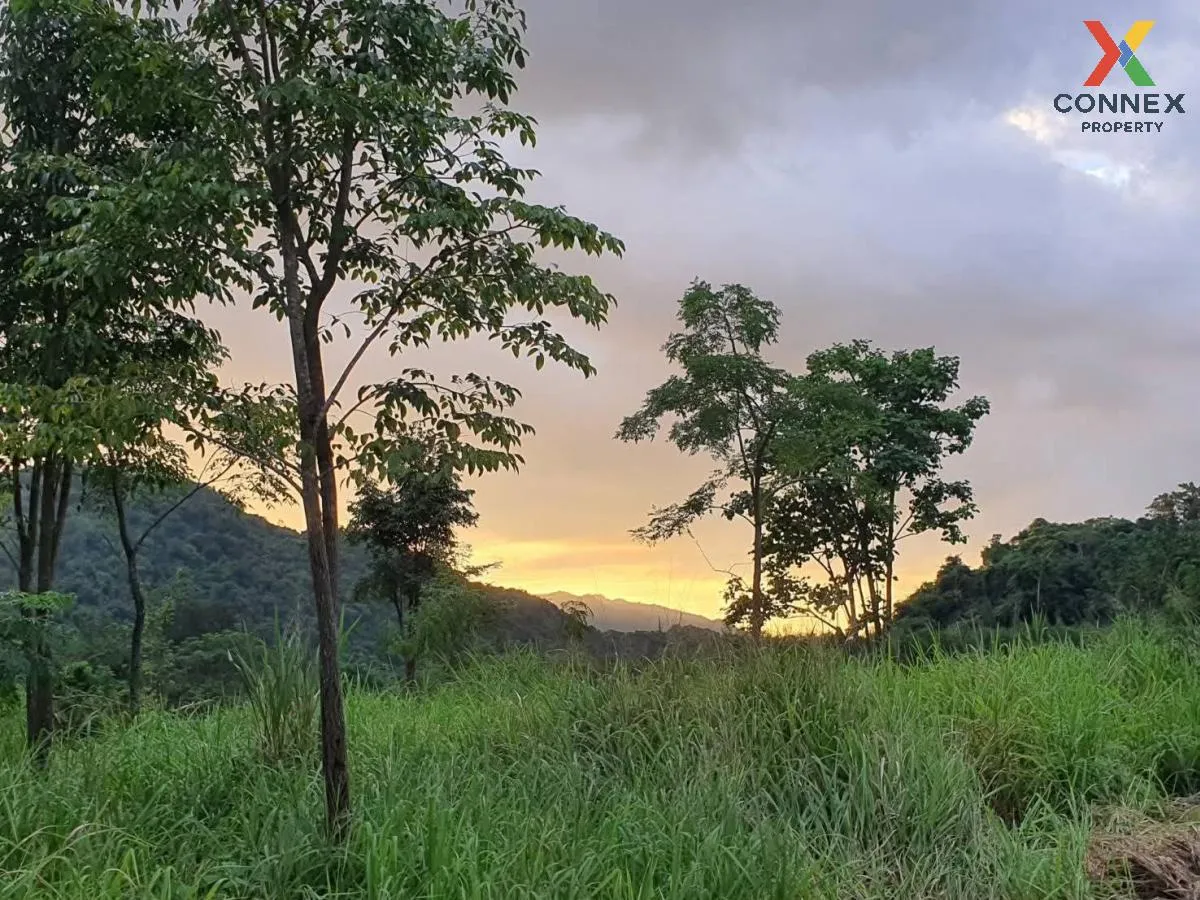 เช่าที่ดินหมูสี @เขาใหญ่ วิวสวย หมูสี ปากช่อง นครราชสีมา CX-13567 เช่าที่ดินหมูสี @เขาใหญ่ วิวสวย หมูสี ปากช่อง นครราชสีมา CX-13567 2