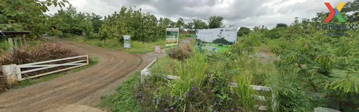 เช่าที่ดินหมูสี @เขาใหญ่ วิวสวย หมูสี ปากช่อง นครราชสีมา CX-13567 เช่าที่ดินหมูสี @เขาใหญ่ วิวสวย หมูสี ปากช่อง นครราชสีมา CX-13567 4